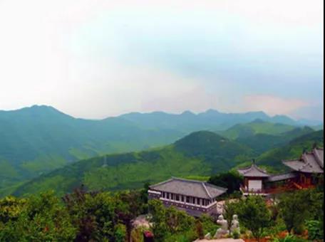 攸縣興林油茶,油茶苗,油茶果,輕基質(zhì)杯苗,裸根苗,油茶苗價(jià)格,油茶苗批發(fā),油茶苗基地