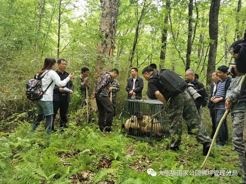 湖南環(huán)球信士科技有限公司,湖南野生動(dòng)物追蹤,湖南衛(wèi)星追蹤器,湖南追蹤器