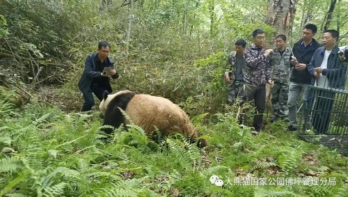 湖南環(huán)球信士科技有限公司,湖南野生動(dòng)物追蹤,湖南衛(wèi)星追蹤器,湖南追蹤器