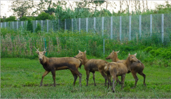 湖南環(huán)球信士科技有限公司,湖南野生動物追蹤,湖南衛(wèi)星追蹤器,湖南追蹤器