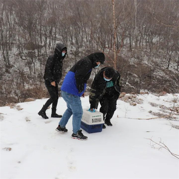 湖南環(huán)球信士科技有限公司,湖南野生動物追蹤,湖南衛(wèi)星追蹤器,湖南追蹤器