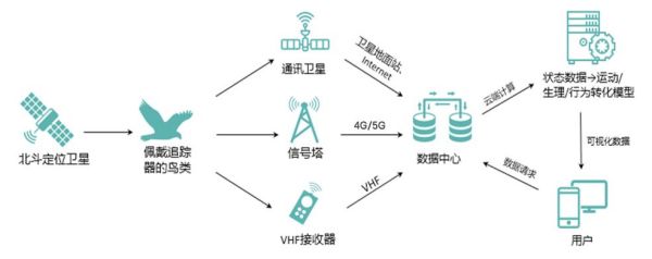 湖南環(huán)球信士科技有限公司,湖南野生動物追蹤,湖南衛(wèi)星追蹤器,湖南追蹤器